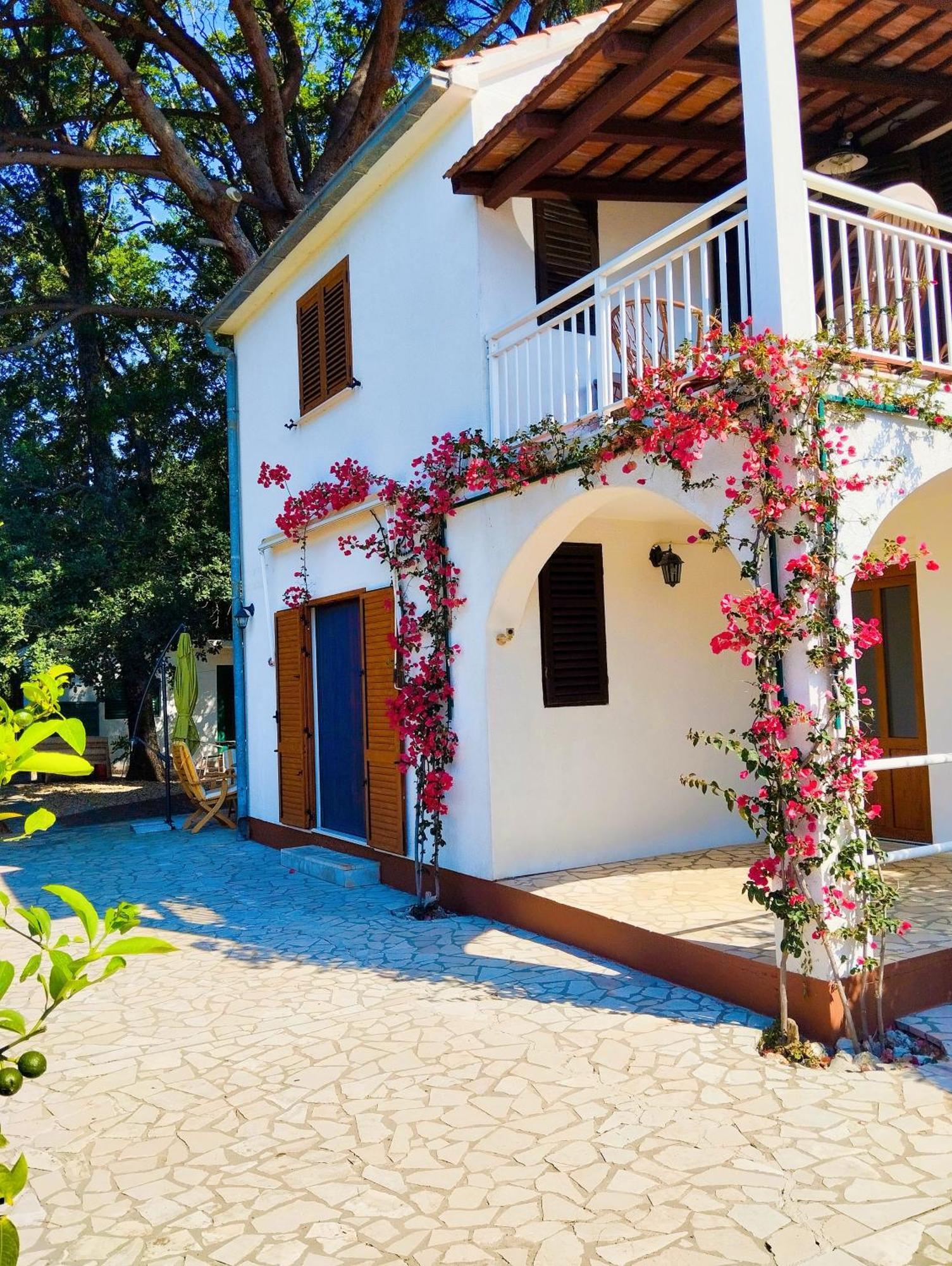Holiday House Pinus Pinea Viganj Dış mekan fotoğraf