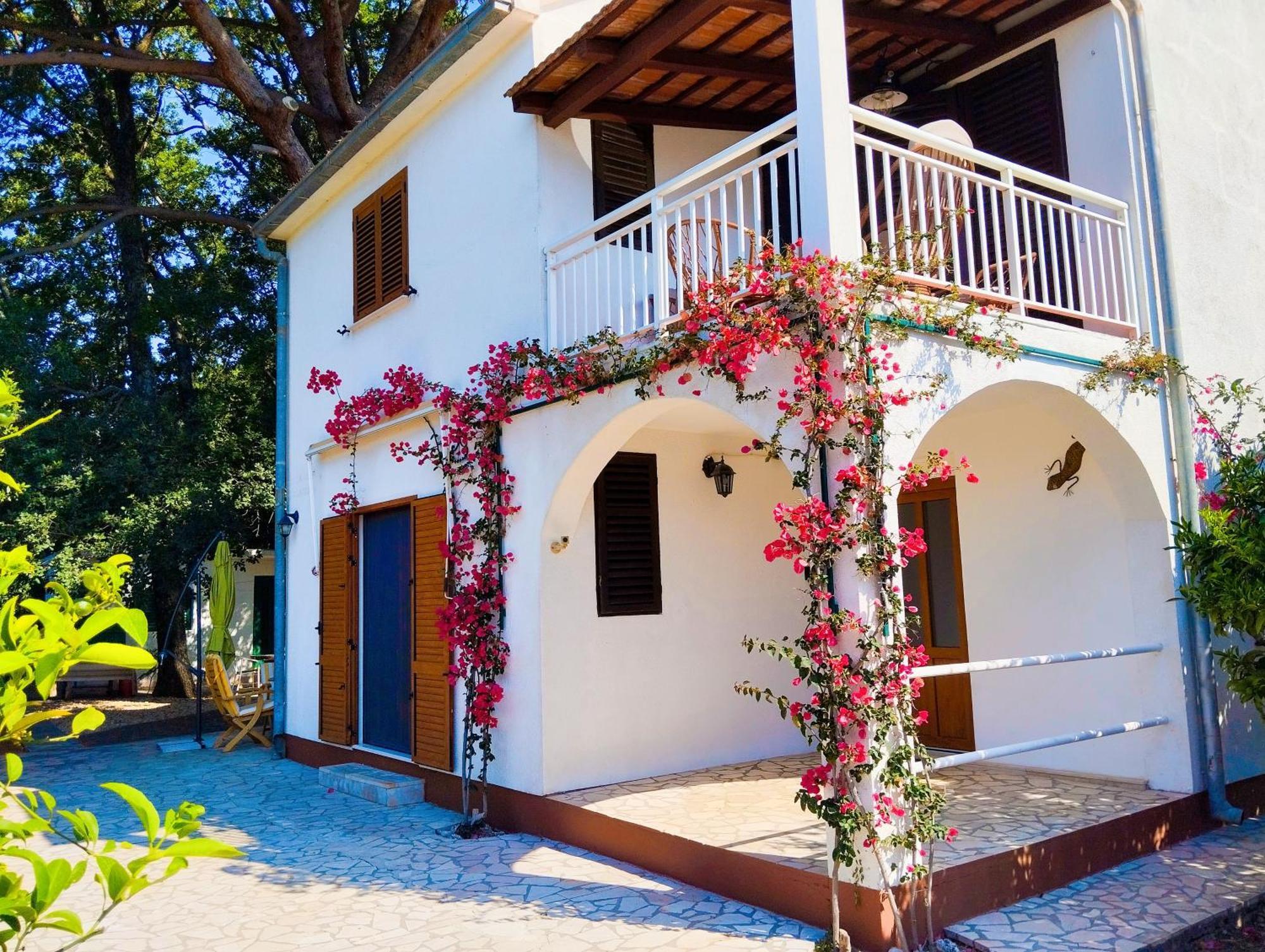 Holiday House Pinus Pinea Viganj Dış mekan fotoğraf